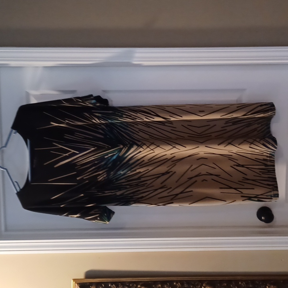 Lined XL Fitted Dress